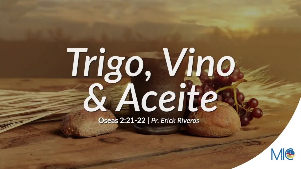 El Vino y el Aceite en la Biblia: Símbolos de Alegría, Abundancia y Espiritualidad - Qué representa el vino y aceite en la Biblia el vino y el aceite en la biblia - Qué representa el vino y aceite en la Biblia