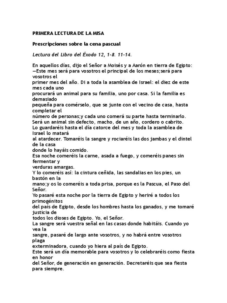 La Primera Lectura de la Misa: Una Ventana a la Palabra de Dios - Que se dice en la primera lectura de la Misa primera lectura misa - Que se dice en la primera lectura de la Misa