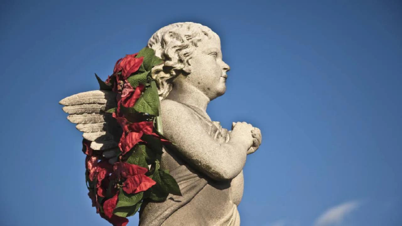 Oración al Ángel de la Guarda: Un Compañero Celestial en la Iglesia Católica - Que se le pide al ángel de la guarda oración ángel de la guarda iglesia católica - Que se le pide al ángel de la guarda