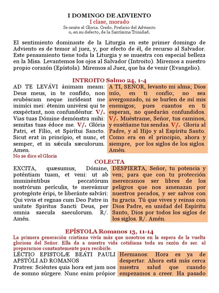 que se omite en la misa en tiempo de adviento - Que se omite en la Misa de los domingos