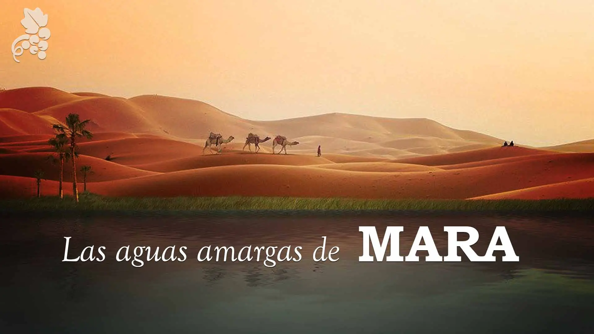 Aguas Amargas en la Biblia: Un Viaje a Través de la Fe y la Prueba - Qué significa el agua amarga en la Biblia aguas amargas biblia - Qué significa el agua amarga en la Biblia