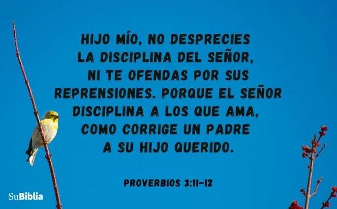 El Amor a los Padres Según la Biblia: Un Pilar Fundamental - Qué significa el amor hacia los padres amor a los padres segun la biblia - Qué significa el amor hacia los padres