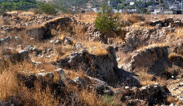 Tirsá: Una Ciudad Bíblica de Realeza y Conflicto - Qué significa el nombre Tirsá en la Biblia tirsa biblia - Qué significa el nombre Tirsá en la Biblia