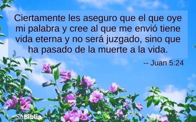 esperanza sobre esperanza biblia - Qué significa esperanza contra esperanza en la Biblia