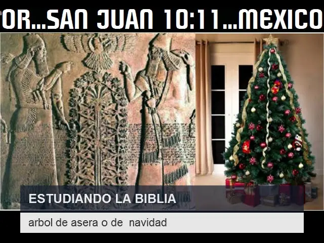 El Árbol de Asera en la Biblia: Un Símbolo de Idolatría - Qué significa la imagen de Asera en la Biblia arbol de asera biblia - Qué significa la imagen de Asera en la Biblia