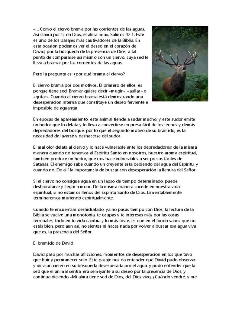 ¿Qué significa bramar en la Biblia? - Qué significa la palabra bramido en la Biblia que es bramar en la biblia - Qué significa la palabra bramido en la Biblia