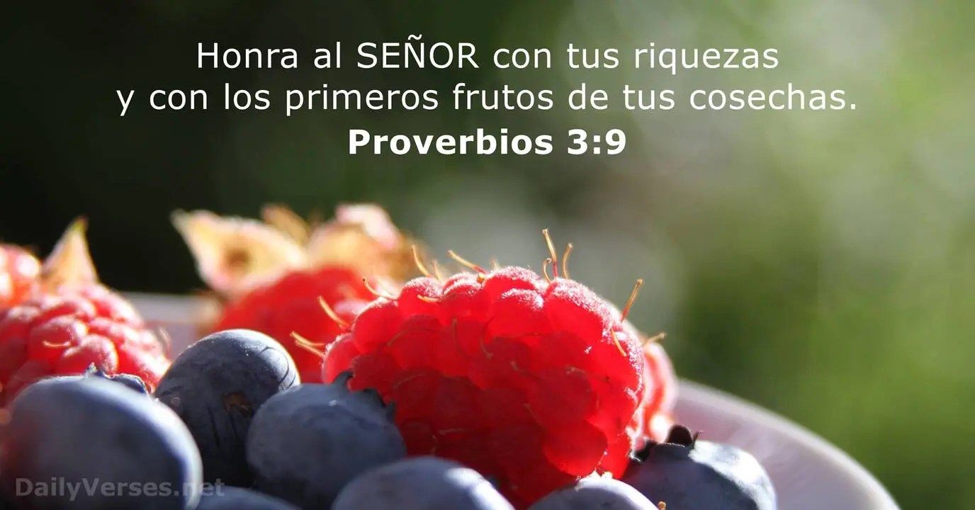 honra en la biblia - Qué significa la palabra honra según la Biblia