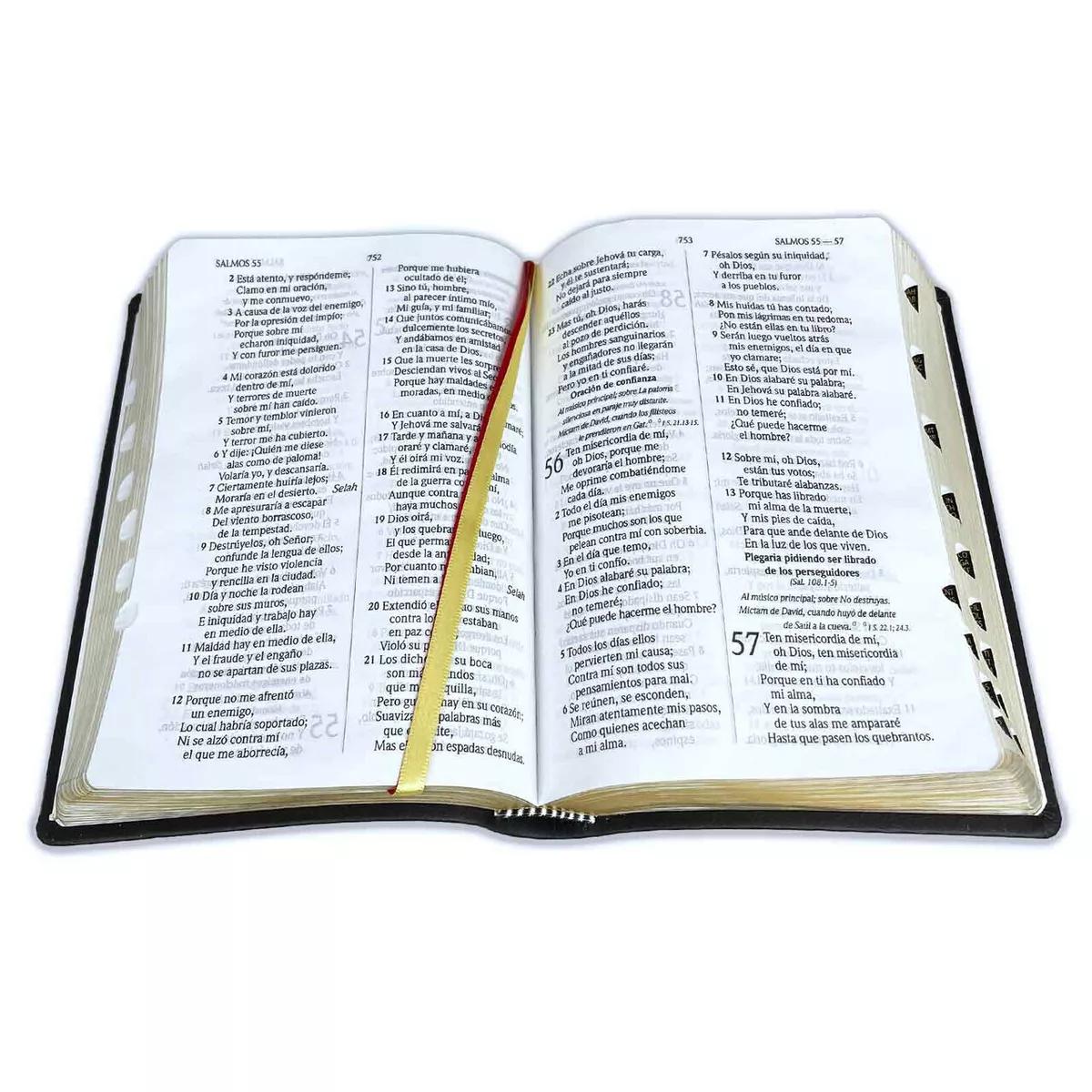 La Rencillas en la Biblia: Un Análisis Profundo - Qué significa la palabra rencilla en la Biblia rencilla biblia - Qué significa la palabra rencilla en la Biblia