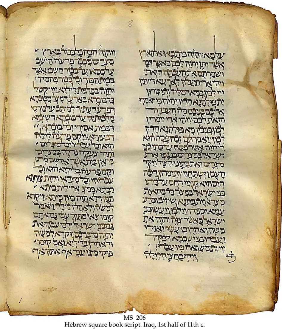 como se dice la biblia en hebreo - Qué significa la palabra Torah en hebreo