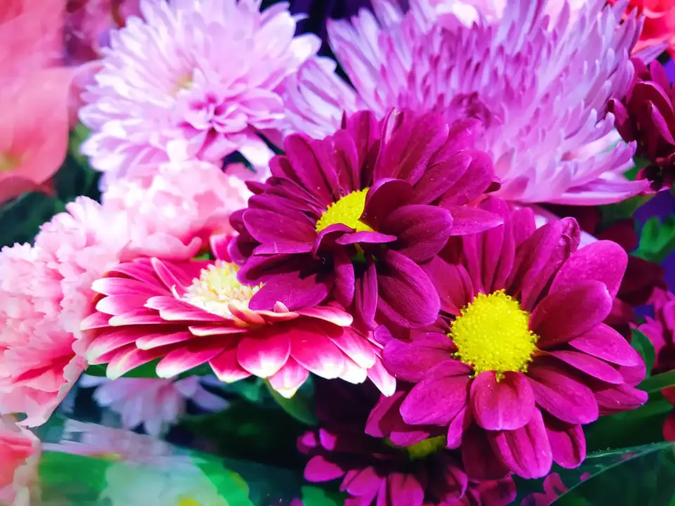 ¿Qué dice la Biblia sobre llevar flores a los muertos? - Qué significa llevar flores a la tumba de un familiar que dice la biblia sobre llevar flores a los muertos - Qué significa llevar flores a la tumba de un familiar
