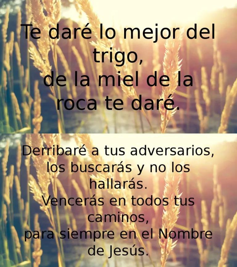 El Trigo en la Biblia: Un Símbolo de Bendición y Abundancia - Qué significa lo mejor del trigo lo mejor del trigo biblia - Qué significa lo mejor del trigo