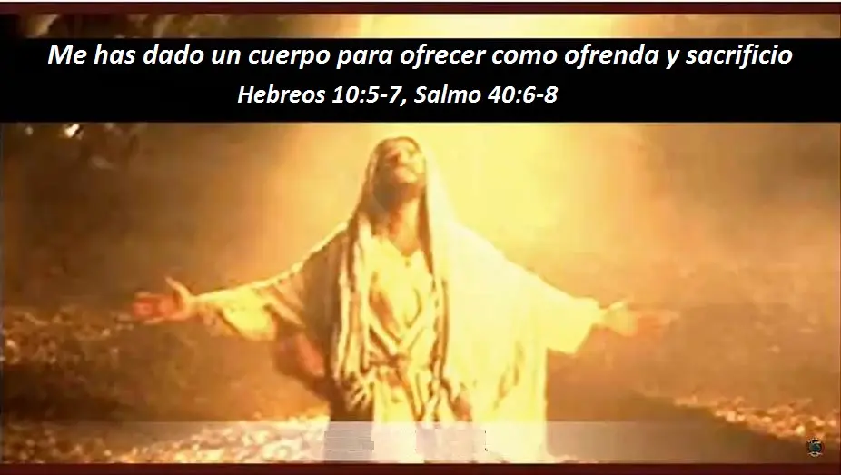 Me Preparaste Cuerpo: La Encarnación y la Dignidad del Cuerpo Humano - Qué significa me preparaste cuerpo me preparaste cuerpo biblia - Qué significa me preparaste cuerpo
