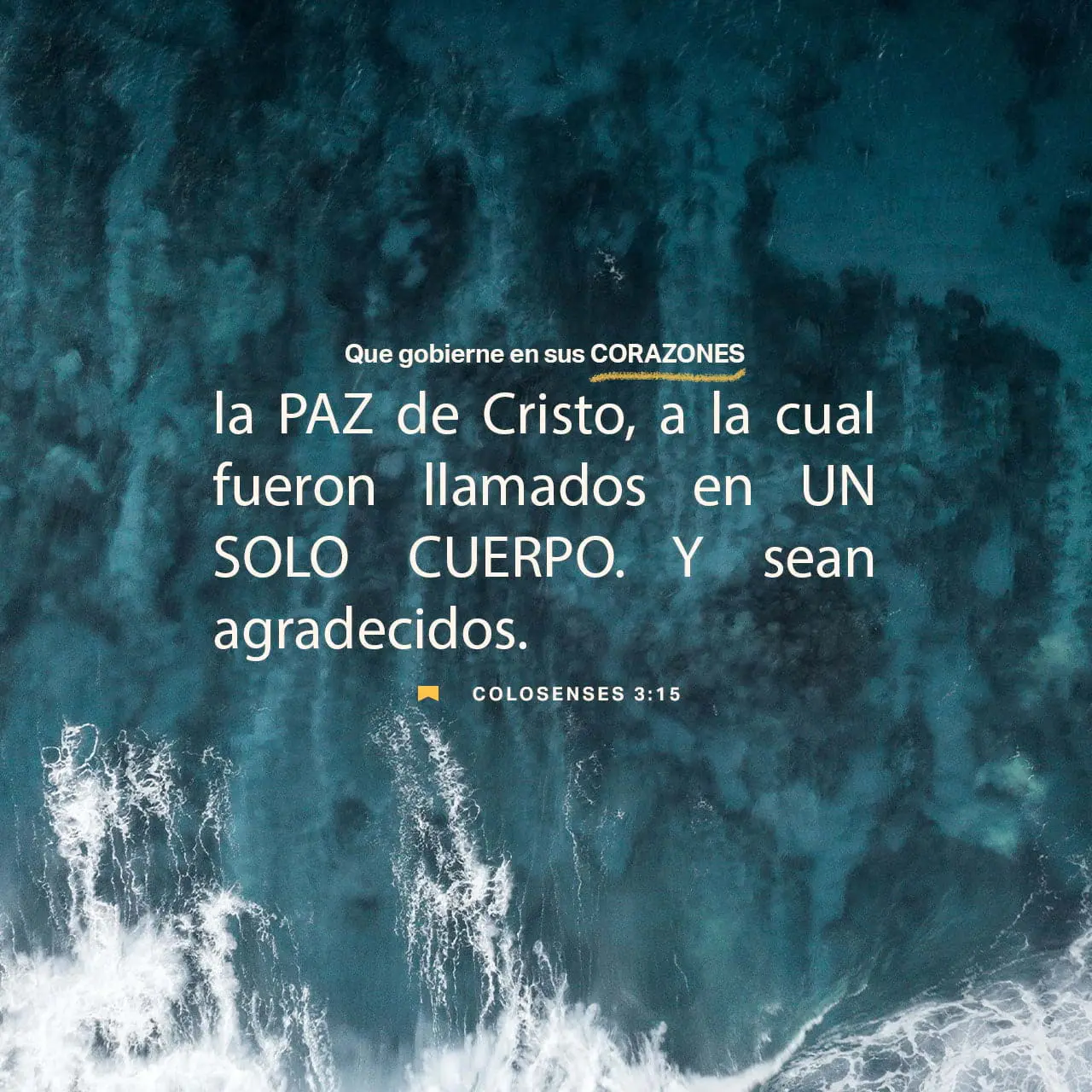 ¿Qué es Col en la Biblia? - Qué significa SAB en la Biblia que es col en la biblia - Qué significa SAB en la Biblia