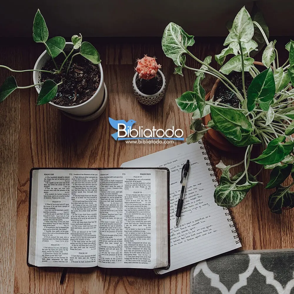 El Significado de 019872zjspixorsoliviantar019872zjspixor en la Biblia: Un Análisis Profundo - Qué significa Soliviantaron al pueblo soliviantar en la biblia - Qué significa Soliviantaron al pueblo