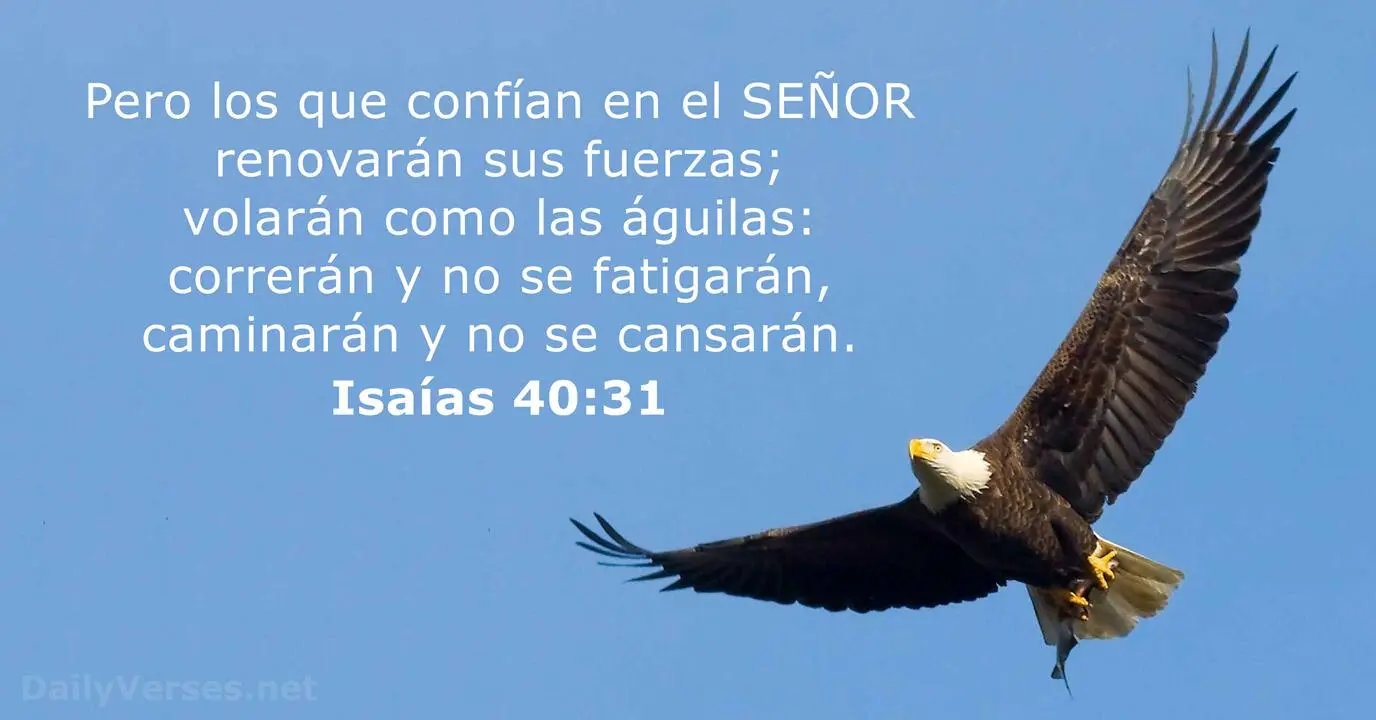 Nuevas Fuerzas: El Poder Transformador de la Biblia - Qué significa tener nuevas fuerzas nuevas fuerzas biblia - Qué significa tener nuevas fuerzas