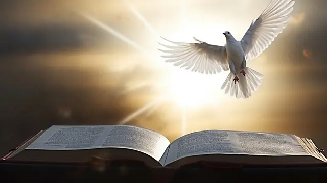 El Significado de 019872zjspixortocar fondo019872zjspixor en la Biblia: Un Viaje de Esperanza y Renacimiento - Qué significa tocar fondo en la Biblia fondo biblia - Qué significa tocar fondo en la Biblia