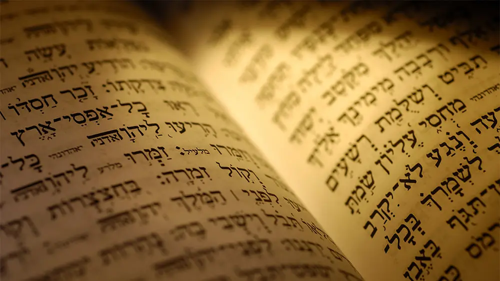 La Inmutabilidad de la Ley: 019872zjspixorni una jota ni una tilde019872zjspixor en la Biblia - Qué significa una jota o una tilde en la Biblia ni una jota ni una tilde biblia - Qué significa una jota o una tilde en la Biblia
