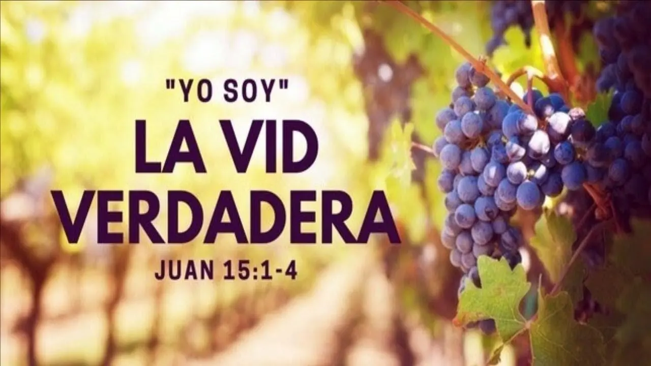 La Vid Verdadera: Una Profunda Metáfora de la Unión con Cristo - Qué significa Yo soy la vid verdadera y mi Padre es el viñador la vid verdadera biblia - Qué significa Yo soy la vid verdadera y mi Padre es el viñador