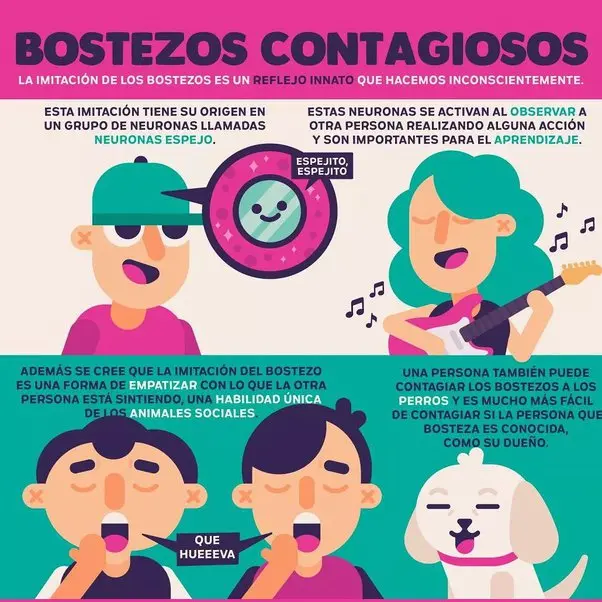 porque bostezo en misa - Qué significado tiene el bostezo