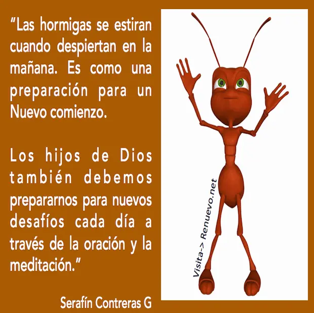 La Sabiduría de las Hormigas: Un Mensaje Bíblico para la Vida - Qué significan las hormigas en la Biblia se como las hormigas biblia - Qué significan las hormigas en la Biblia