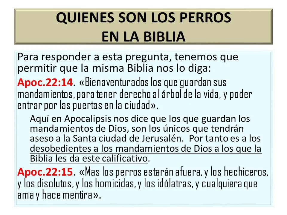 Perros en la Biblia: Una Mirada a su Simbolismo y Significado - Qué significan los perros en Apocalipsis 22 15 perros en la biblia - Qué significan los perros en Apocalipsis 22 15