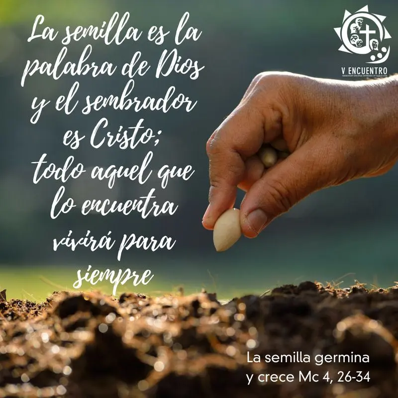Las Semillas en la Biblia: Un Símbolo de Fe, Crecimiento y Abundancia - Qué son las semillas para Jesús las semillas en la biblia - Qué son las semillas para Jesús