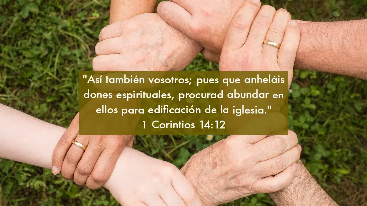Dones para Edificar la Iglesia - Qué son los dones para la iglesia dones para edificar la iglesia - Qué son los dones para la iglesia
