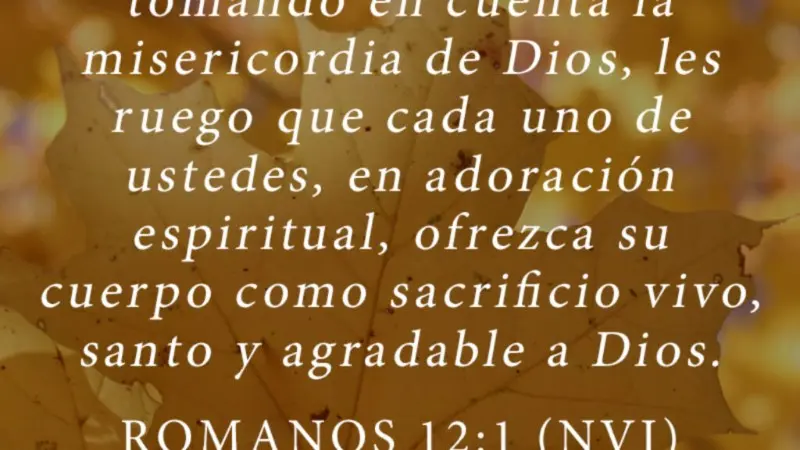 quienes son los mutiladores del cuerpo segun la biblia - Qué son los mutiladores del cuerpo