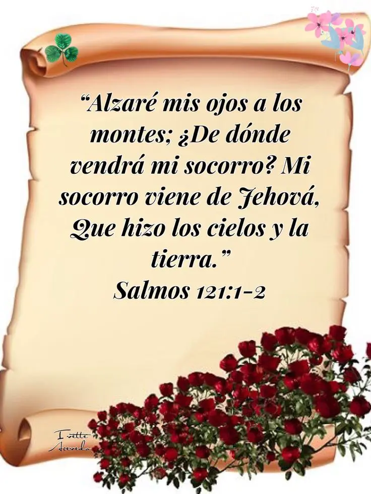 Poemas para la Biblia: Analizando la Belleza Literaria de las Sagradas Escrituras - Qué son los textos poeticos en la Biblia poemas para la biblia - Qué son los textos poeticos en la Biblia