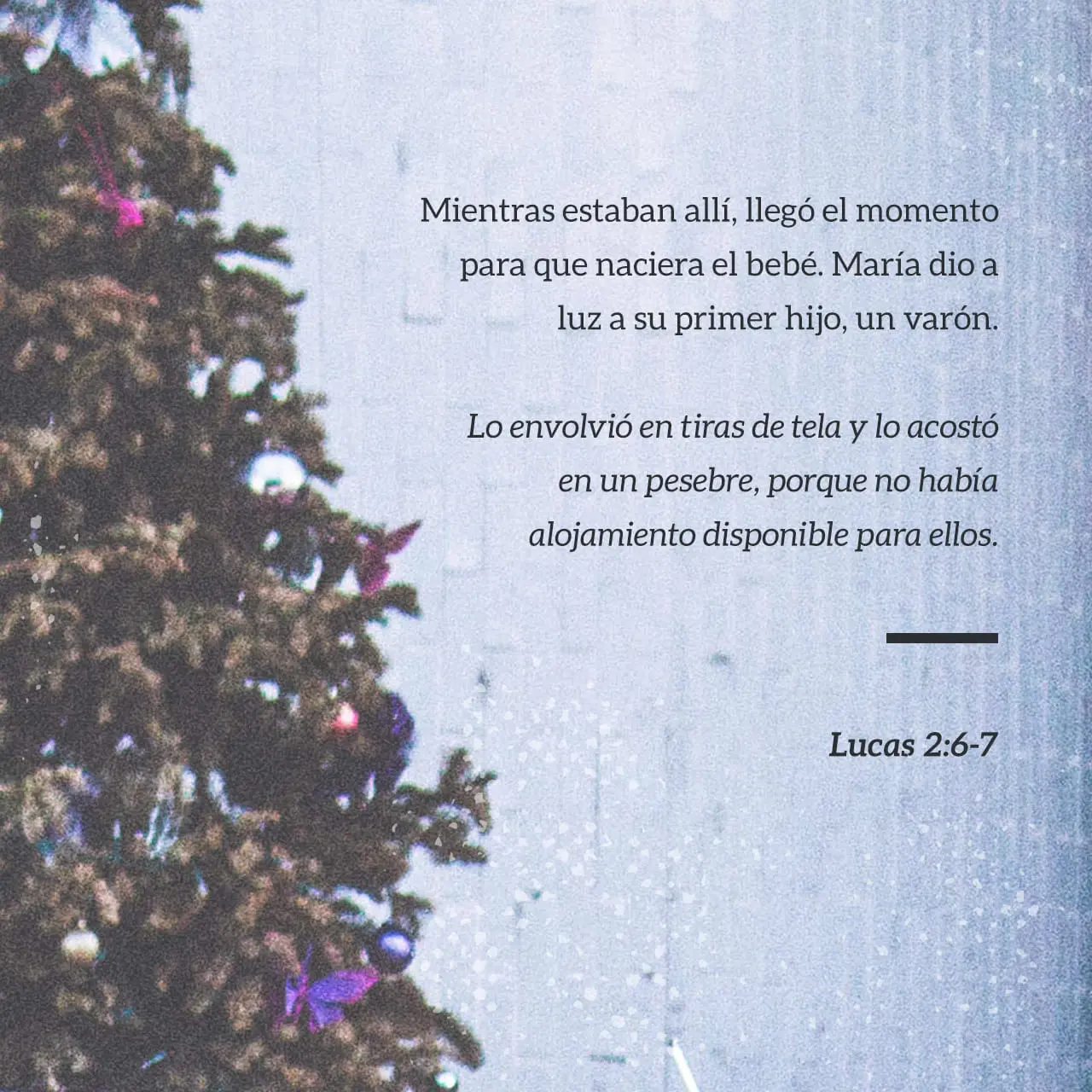 Belén: La Ciudad del Nacimiento de Jesús - Que sucedió al llegar a Belén belen biblia - Que sucedió al llegar a Belén