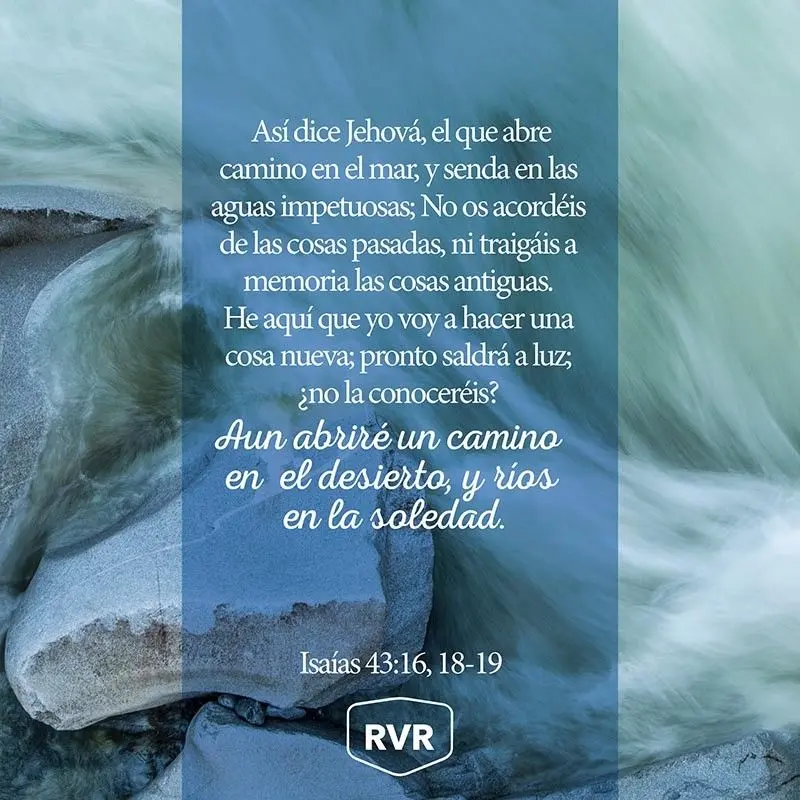 Aguas Impetuosas en la Biblia: Un Símbolo de Poder y Renovación - Qué trazó Dios en aguas impetuosas aguas impetuosas en la biblia - Qué trazó Dios en aguas impetuosas