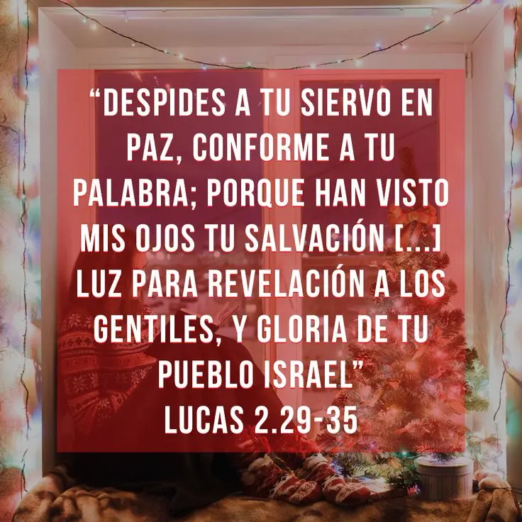 frases del nacimiento de jesus en la biblia - Qué versículo bíblico habla del nacimiento de Jesús