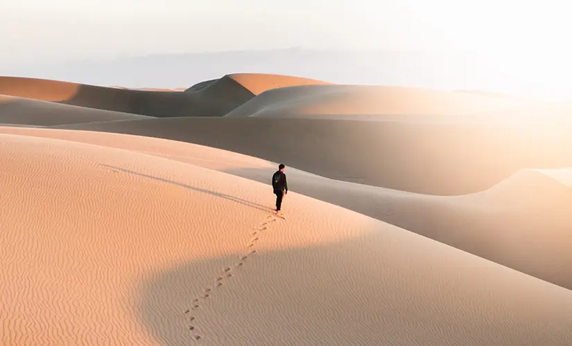 El Camino por el Desierto en la Biblia: Un Viaje de Fe y Transformación - Quién camino por el desierto en la Biblia camino por el desierto biblia - Quién camino por el desierto en la Biblia