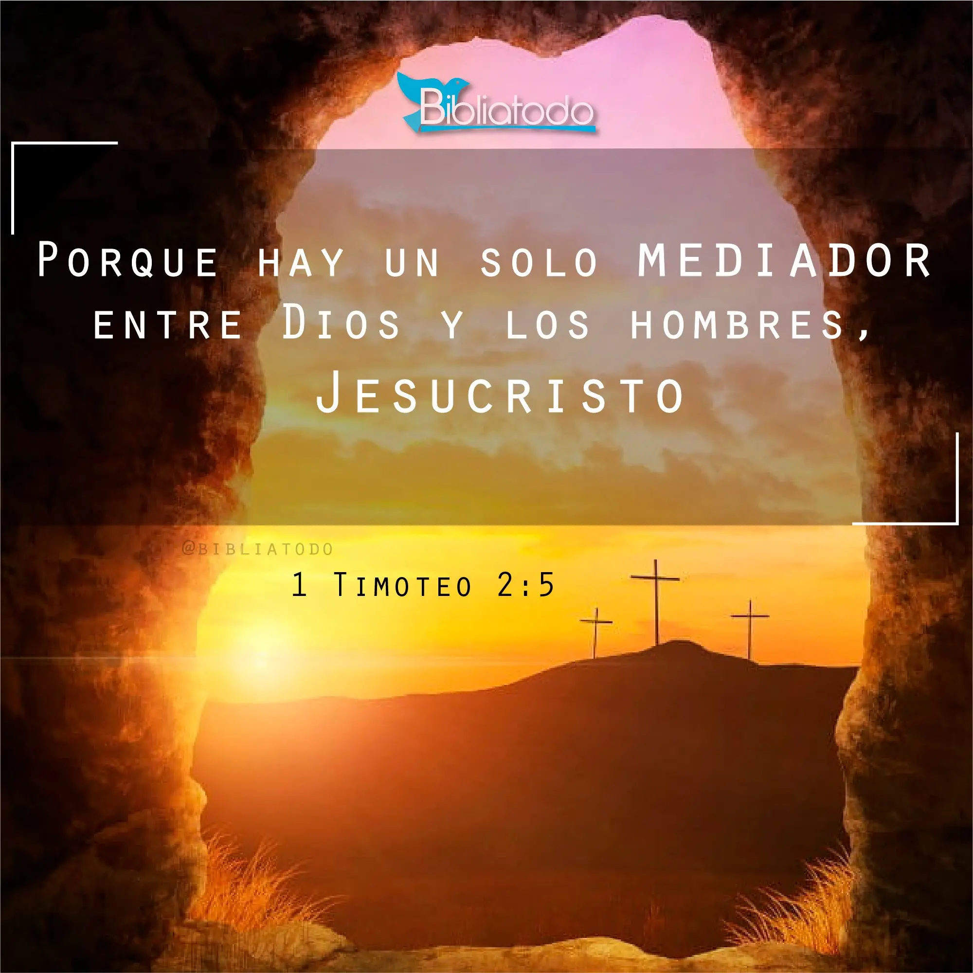 ¿Qué es un Mediador en la Biblia? - Quién es el mediador entre Dios y los hombres que es mediador en la biblia - Quién es el mediador entre Dios y los hombres