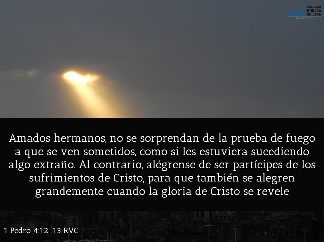 Persecución en la Biblia: Una Historia de Fe y Resistencia - Quién fue perseguido en la Biblia persecución en la biblia - Quién fue perseguido en la Biblia
